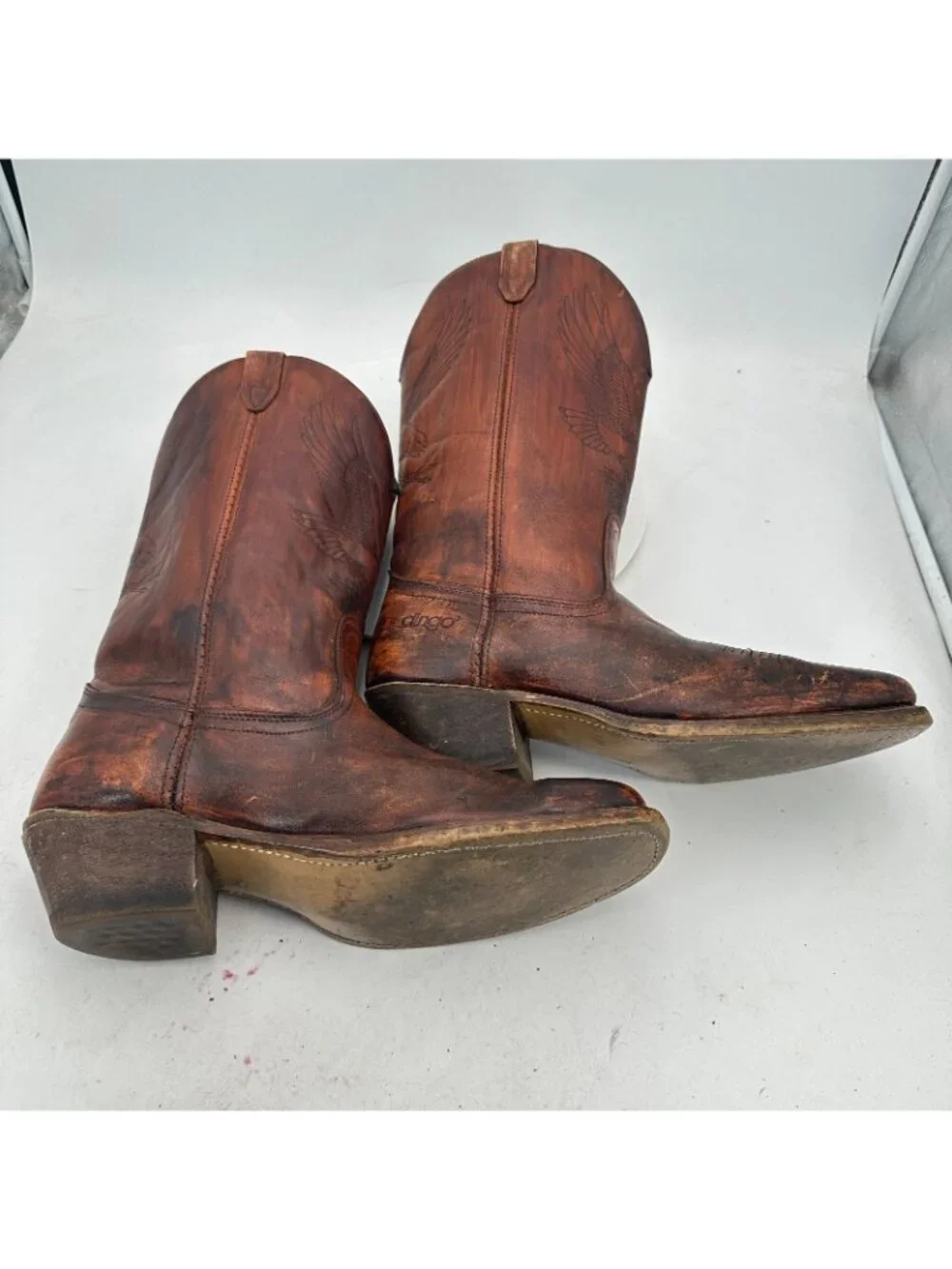 dingo size 12